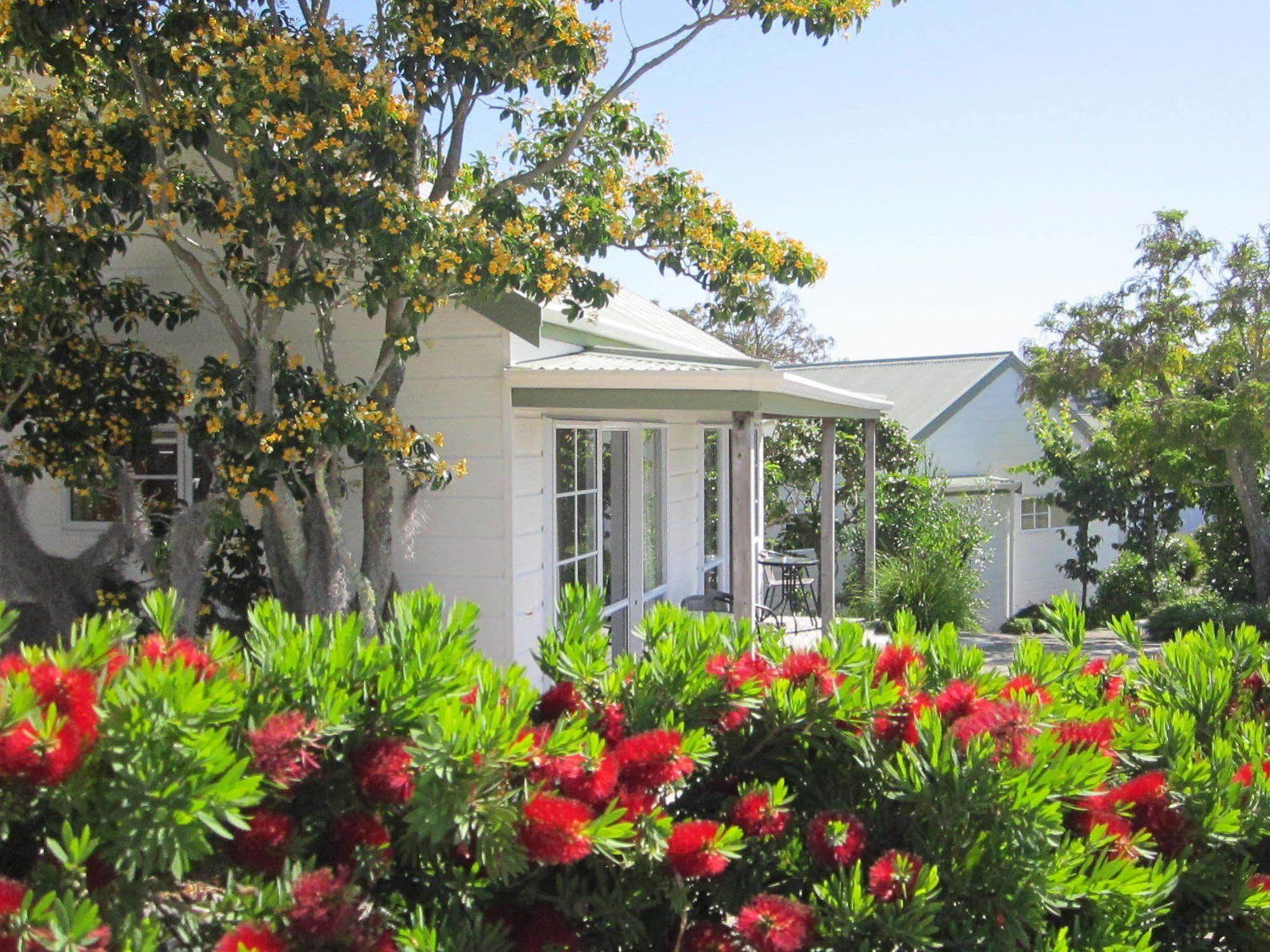 Pauanui Pines Motor Lodge מראה חיצוני תמונה